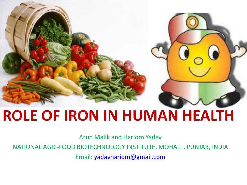 PPT ROLE OF IRON IN HUMAN HEALTH PowerPoint Presentation, free