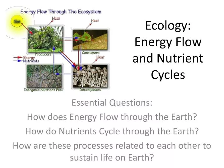 ecology essential questions Start studying introduction to ecology practice test learn vocabulary, terms, and more with flashcards, games, and other study tools. ecology essential questions Start studying introduction to ecology practice test learn vocabulary, terms, and more with flashcards, games, and other study tools.