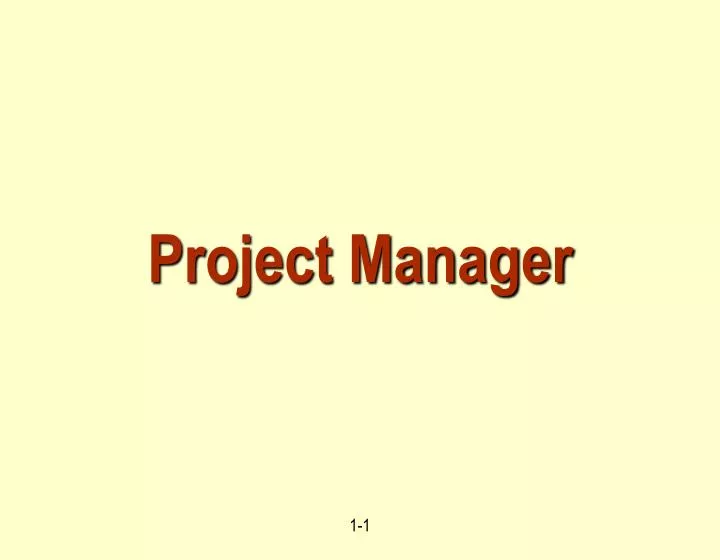 project manager n.