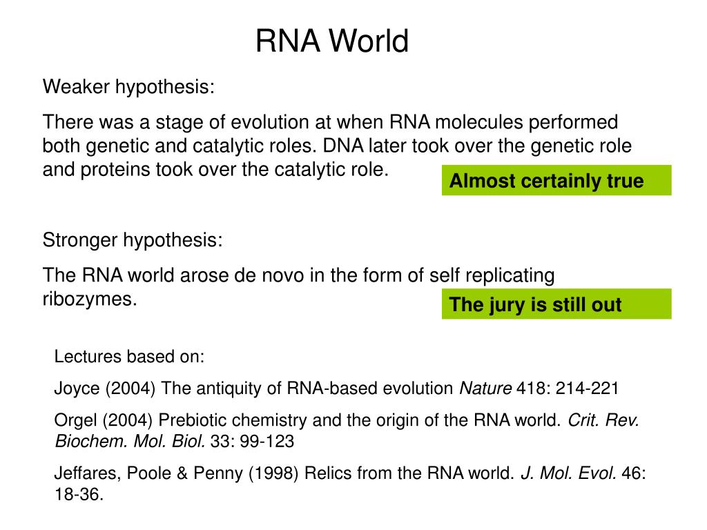 define rna world hypothesis