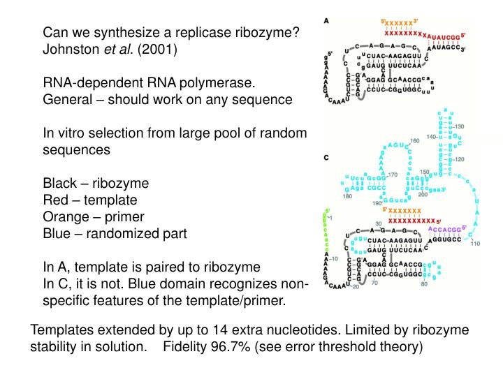 PPT - RNA World PowerPoint Presentation - ID:6524270