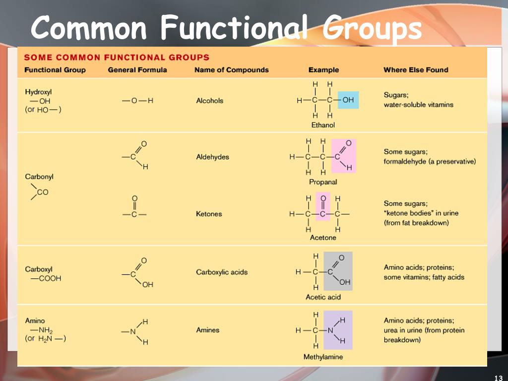 Функциональная группа зайца. Functional Biochemistry. PEOEND-func формула. Maximal common Formula. Domain of function Formula.