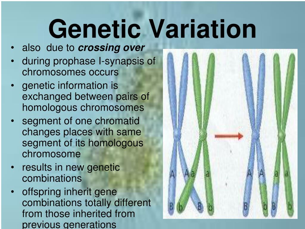 genetic variants research paper