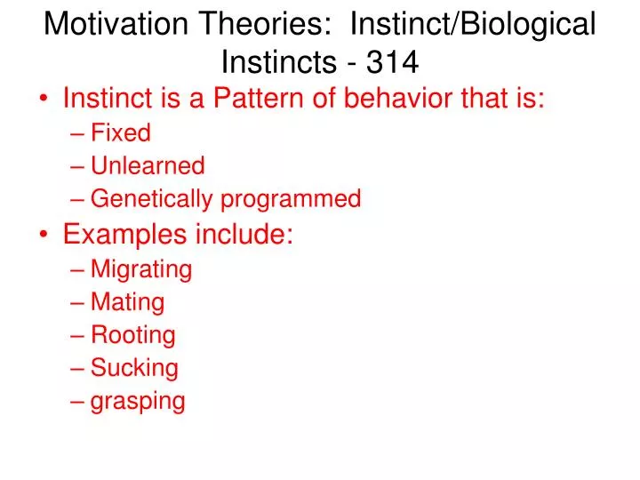 what is instinct theory