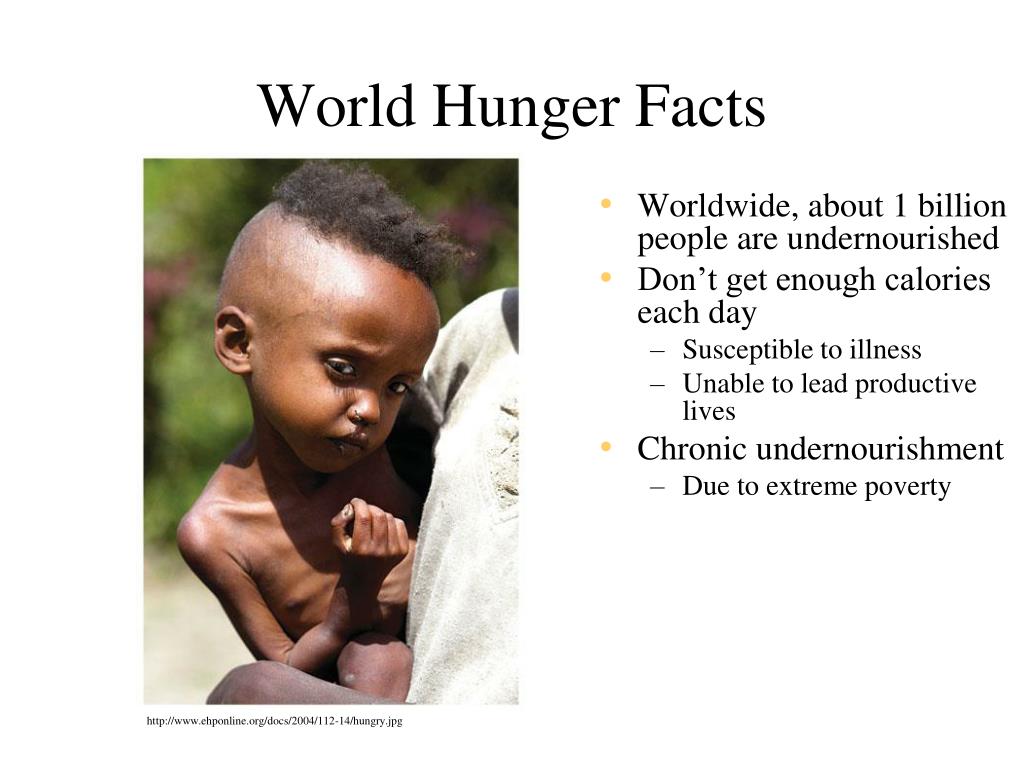 presentation on world hunger