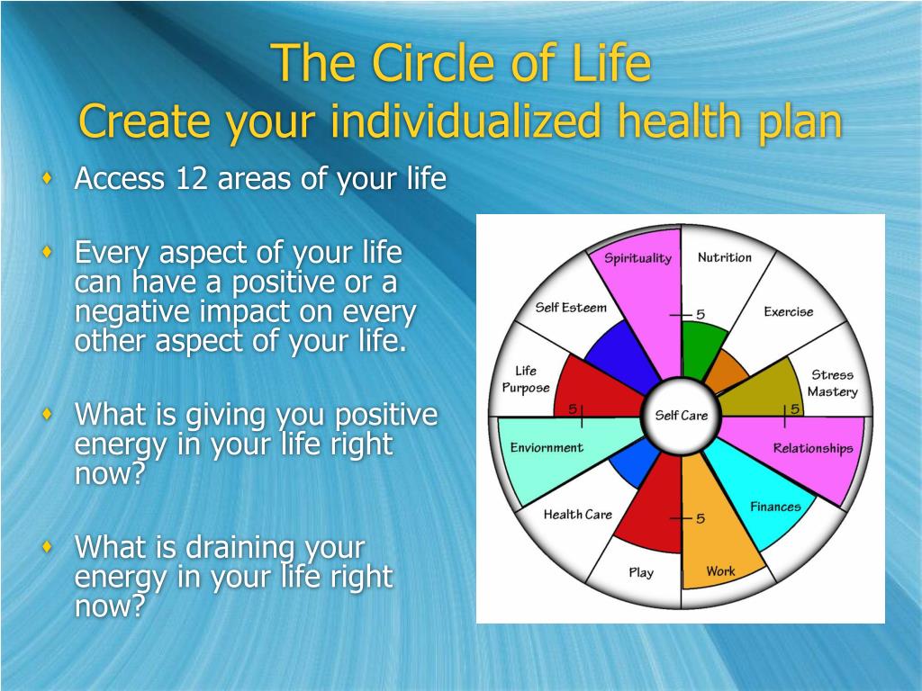 Circle of life karadjordje lfb technicism. Circle of Life. Areas of Life. Circle in Life. Circle of Life Автор.