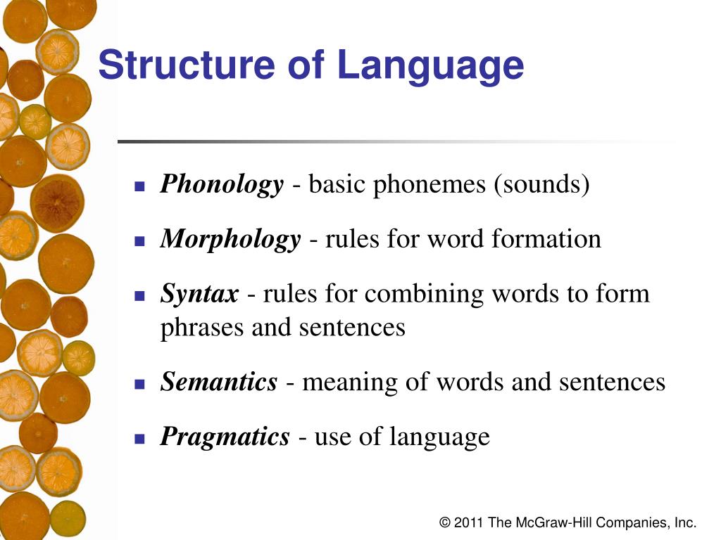 PPT - Chapter 8 Thinking, Intelligence, and Language PowerPoint ...