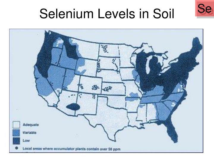 PPT Consequences of Mineral and Deficiencies PowerPoint Presentation ID6527780