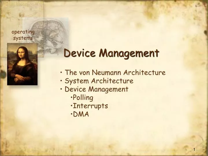 device management n.