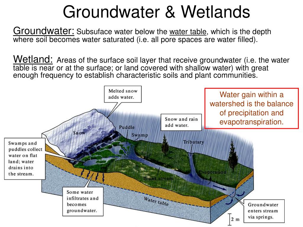 Into the water below. Groundwater Table. Ground Water. Groundwater Table определение. Shallow Groundwater use.