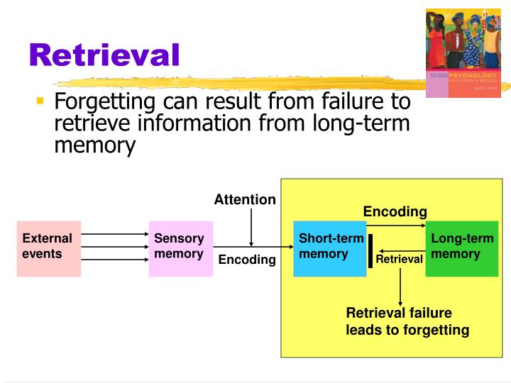 what is encoding in psychology what is encoding in psychology