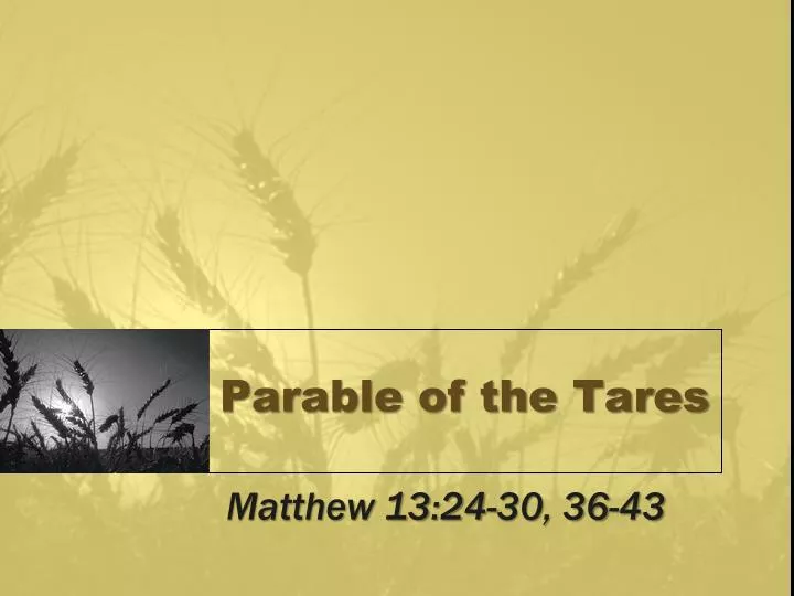 parable of the tares n.