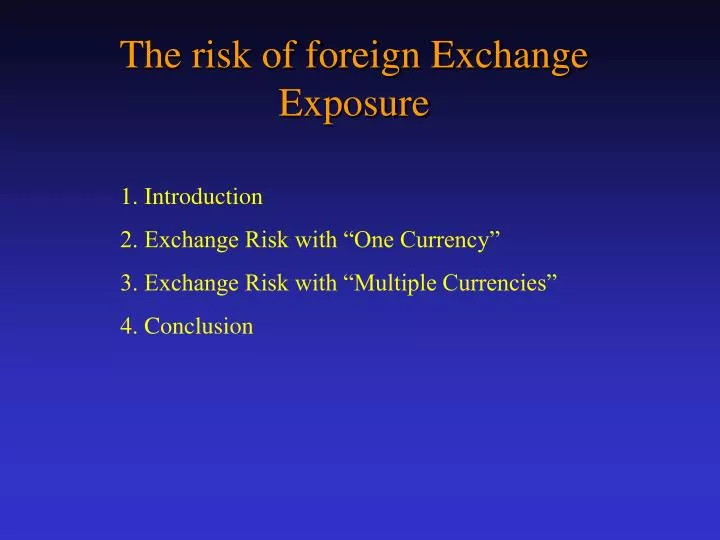 what is foreign exchange risk exposure