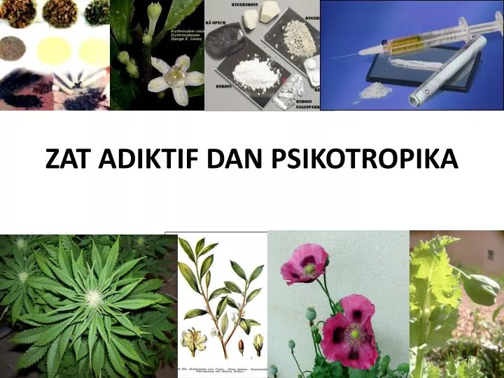 15++ Artikel Zat Adiktif Dan Psikotropika