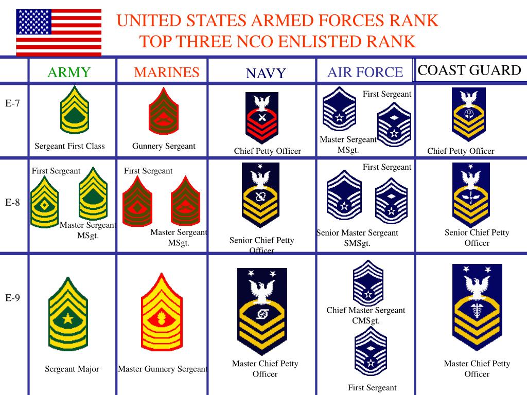 PPT - UNITED STATES ARMED FORCES RANK WARRANT OFFICERS PowerPoint ...