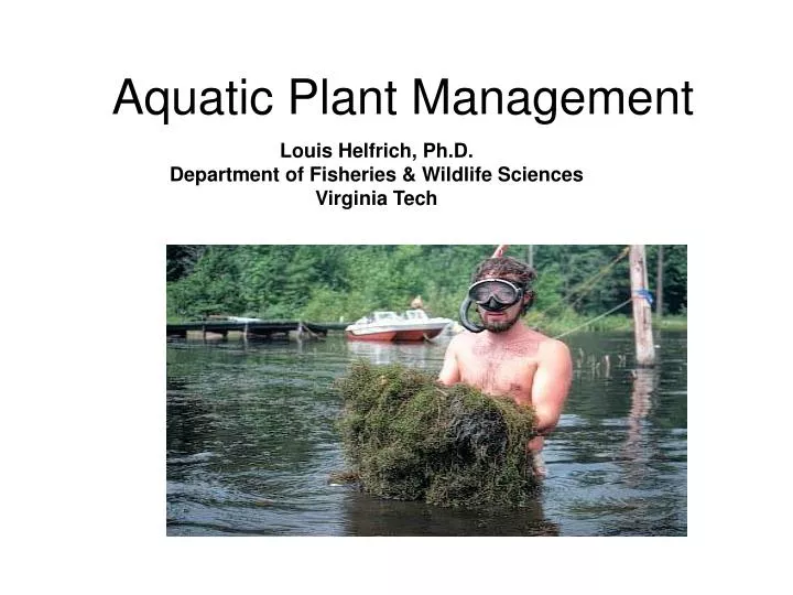 PPT Aquatic Plant Management PowerPoint Presentation, free download
