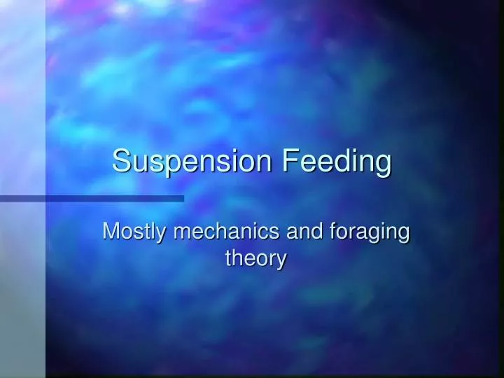 PPT Suspension Feeding PowerPoint Presentation, free download ID6534978