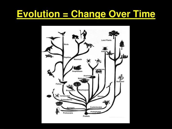 PPT - Evolution = Change Over Time PowerPoint Presentation, Free ...