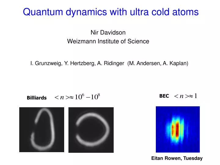 cold atom quantum coherence