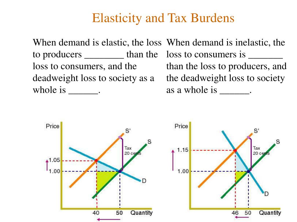 PPT - Elasticity PowerPoint Presentation, free download - ID:6537721