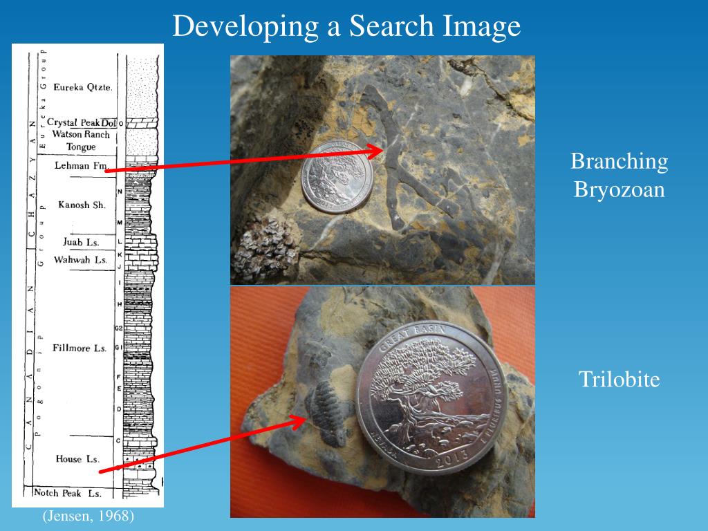 PPT - The Marine Paleozoic Fossil Record of Great Basin National Park ...