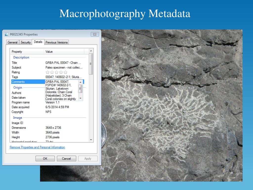 PPT - The Marine Paleozoic Fossil Record of Great Basin National Park ...