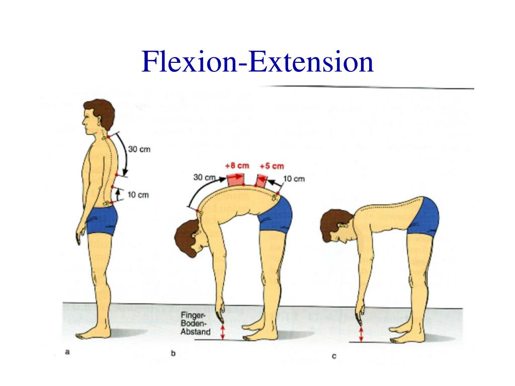 Flexiones amplitud hombros