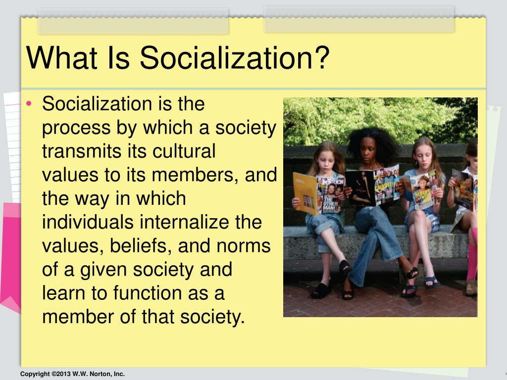 in your presentation integrate the concept of socialization