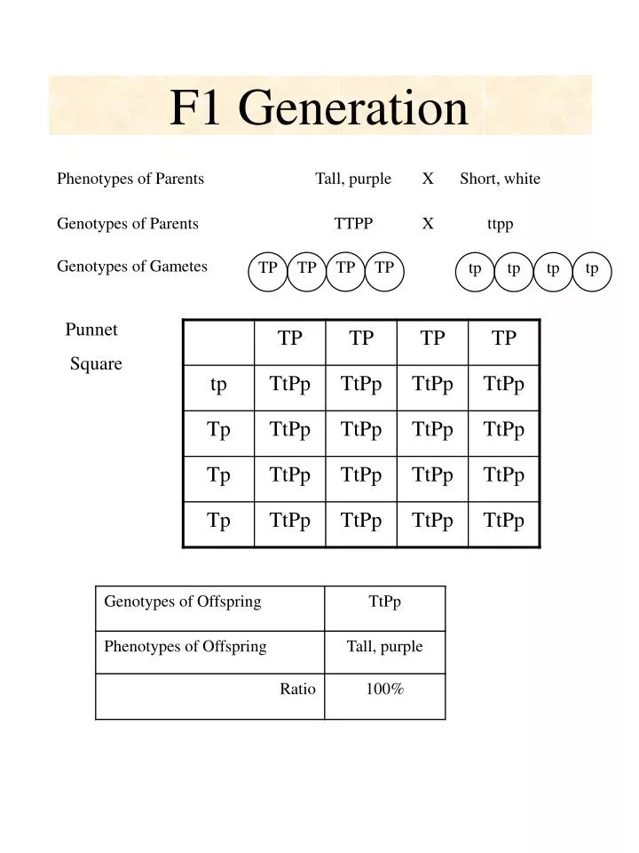 fast Sammentræf syg PPT - F1 Generation PowerPoint Presentation, free download - ID:6538877