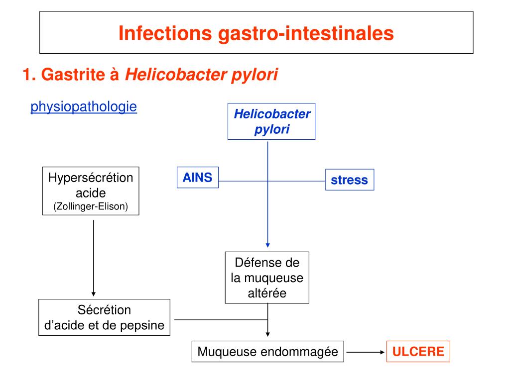 PPT - Infections gastro-intestinales PowerPoint Presentation, free ...