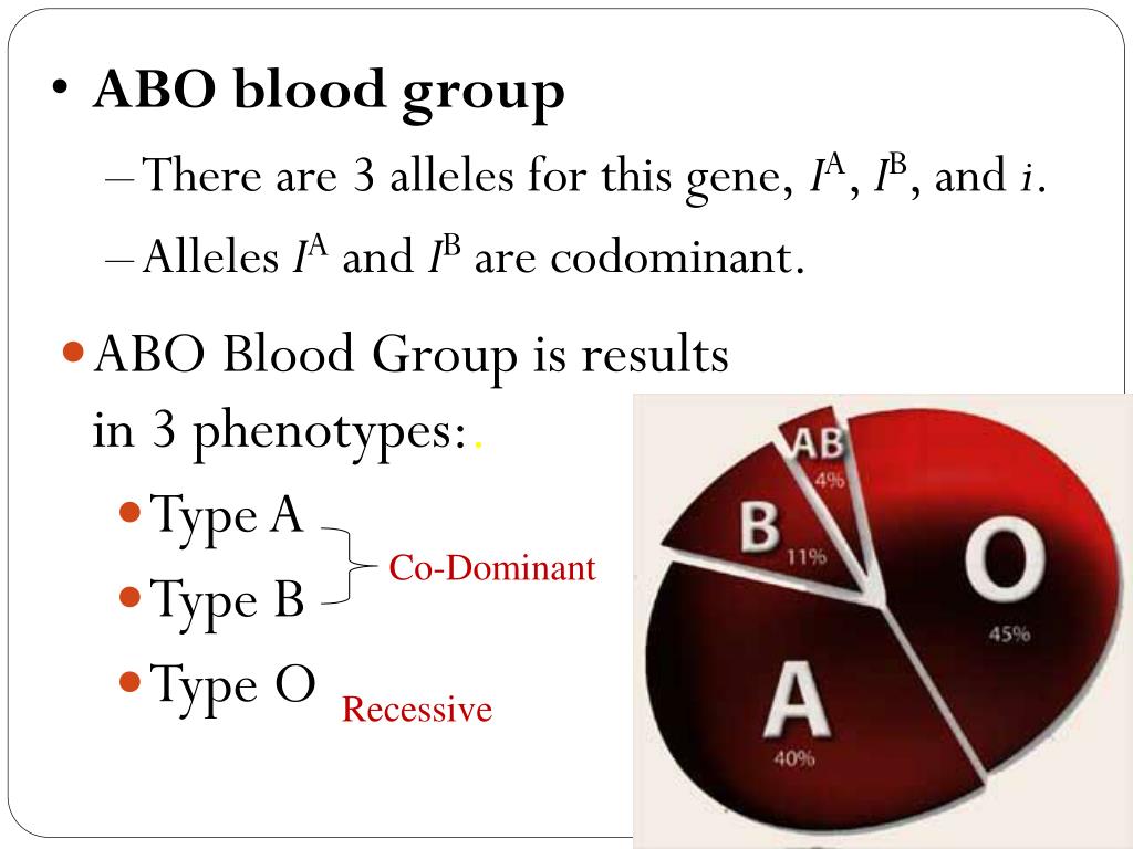 PPT - Blood Type PowerPoint Presentation, Free Download - ID:6543793