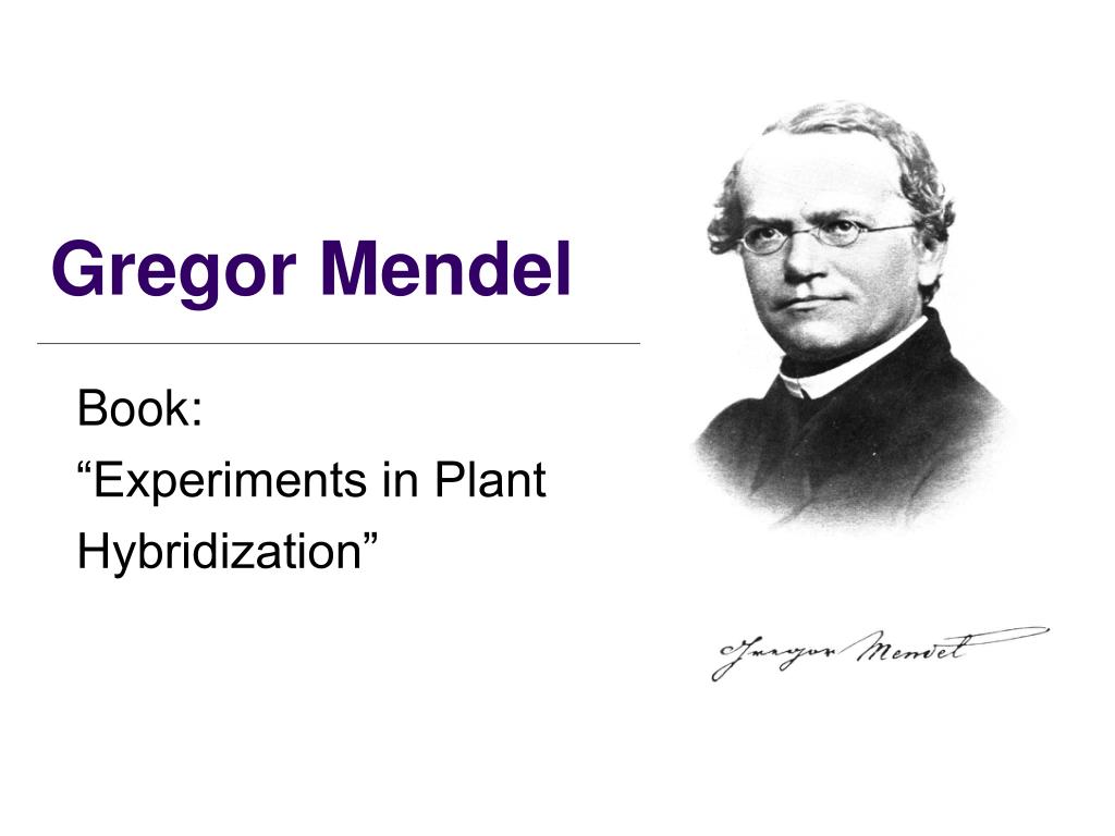 Медведев мендель. Грегор Мендель. Gregor-Mendel Experiments. Gregor Mendel presentation. Грегор Мендель фотографии.