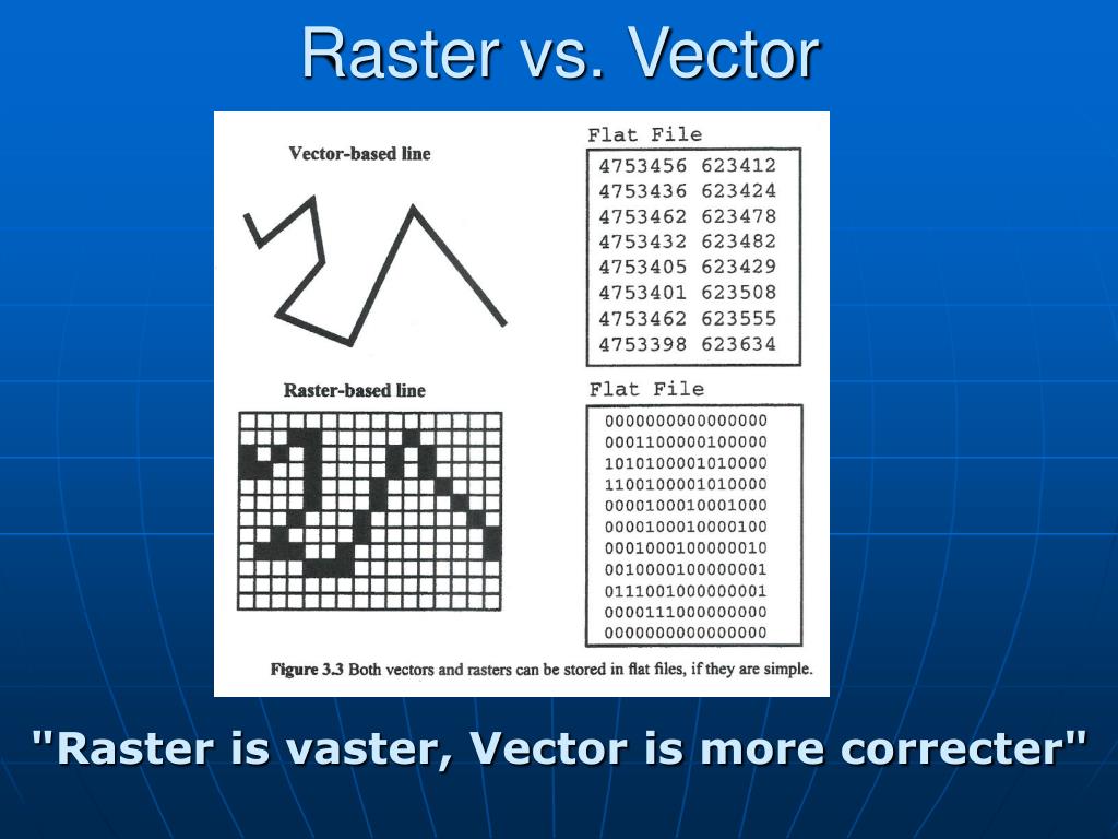 vector vs raster vs