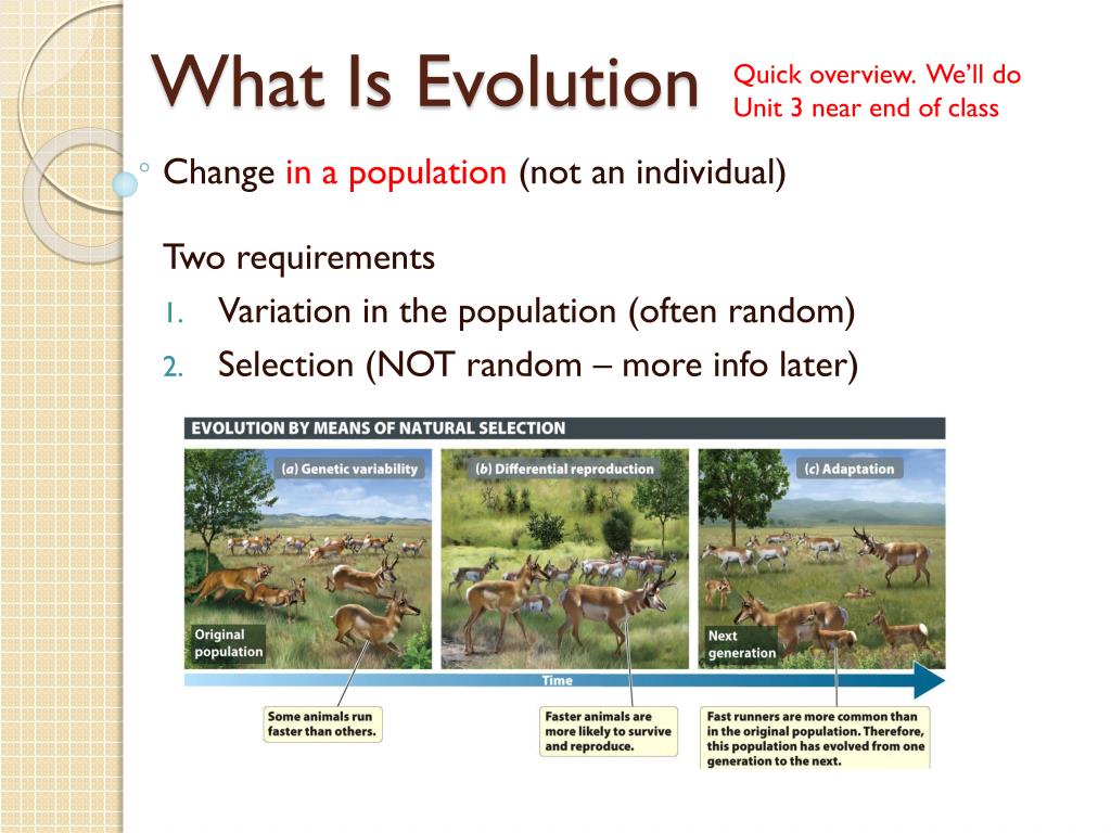 PPT - Free Biology Tutoring PowerPoint Presentation, free download - ID ...