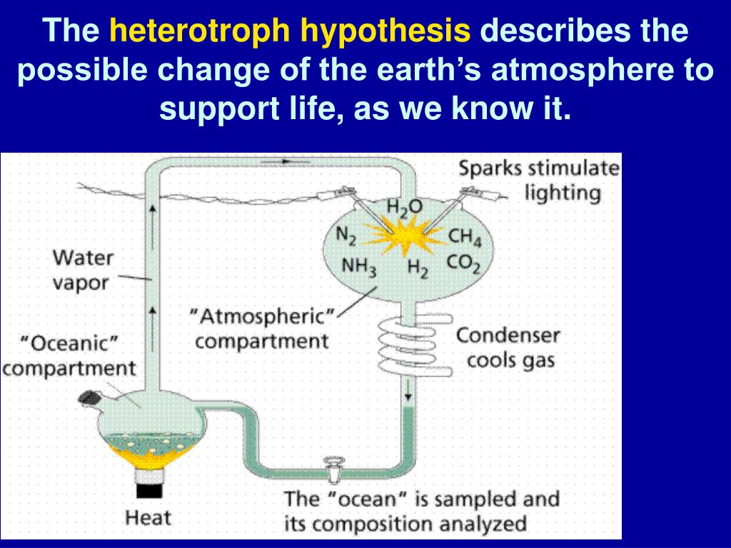 what statement is part of the heterotroph hypothesis