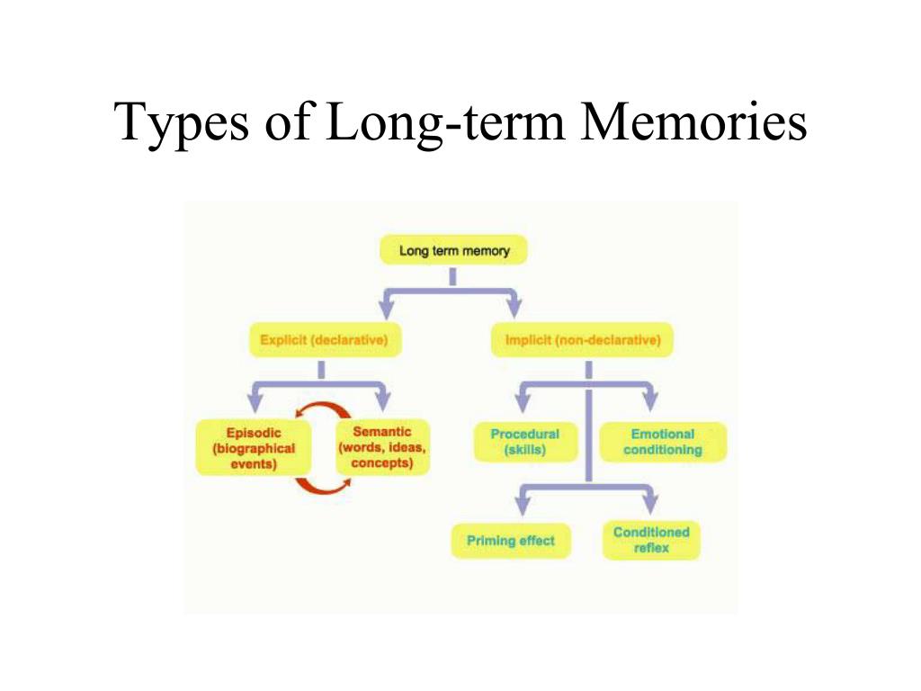 PPT - Chapter 9 - Memory Reading Map PowerPoint Presentation, free ...