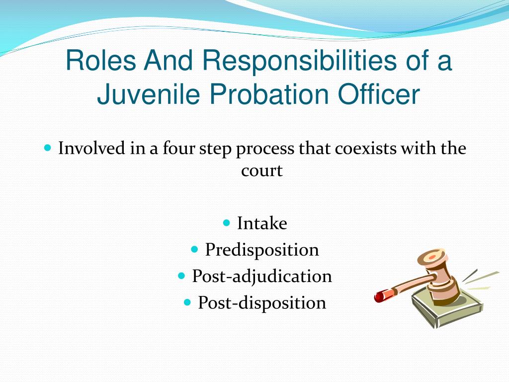 Juvenile probation officer job description illinois