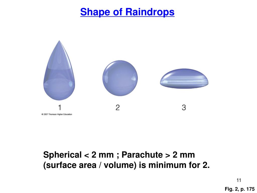 PPT Precipitation Types PowerPoint Presentation, free download ID