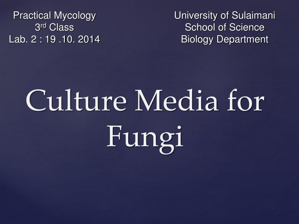 PPT - Culture Media for Fungi PowerPoint Presentation, free download -  ID:6549578