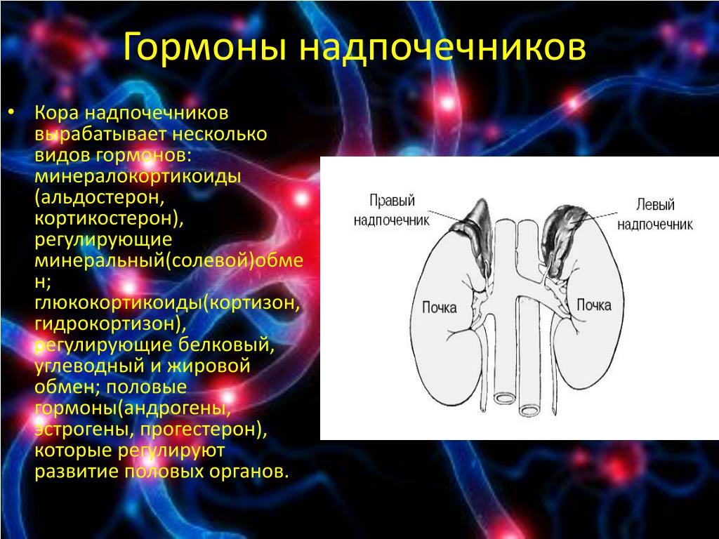 Андрогены надпочечников