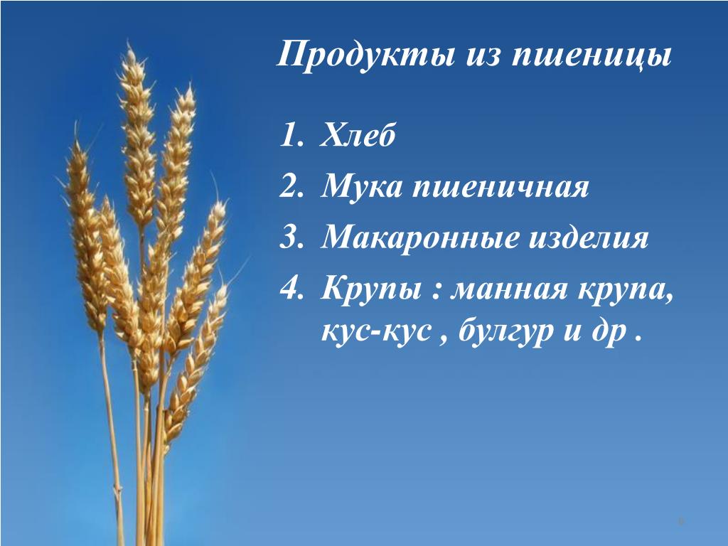 Пшеничный товар. Пшеница и продукты. Еда из пшеницы. Продукция пшеницы. Пшеница макароны.