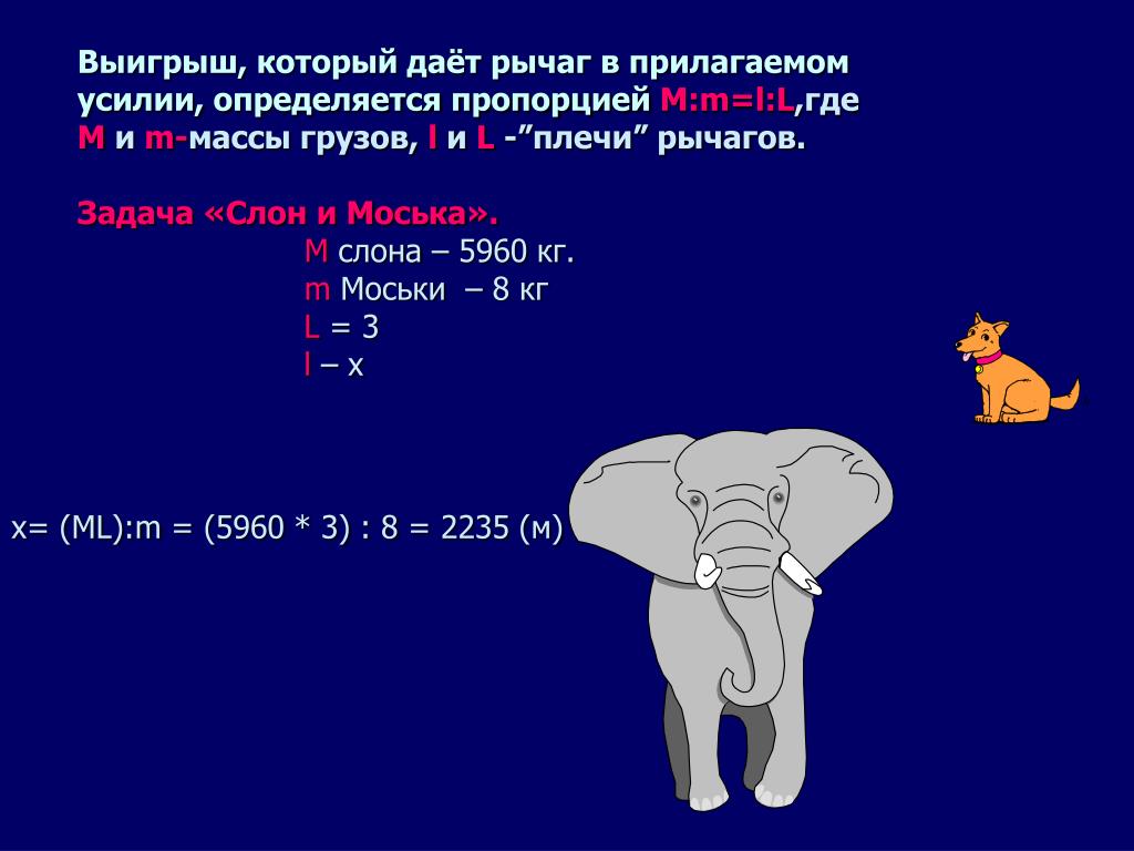 Минус слоник. Задачи слоны. Задача слон. Задачи про слонов. Решение задач слона.