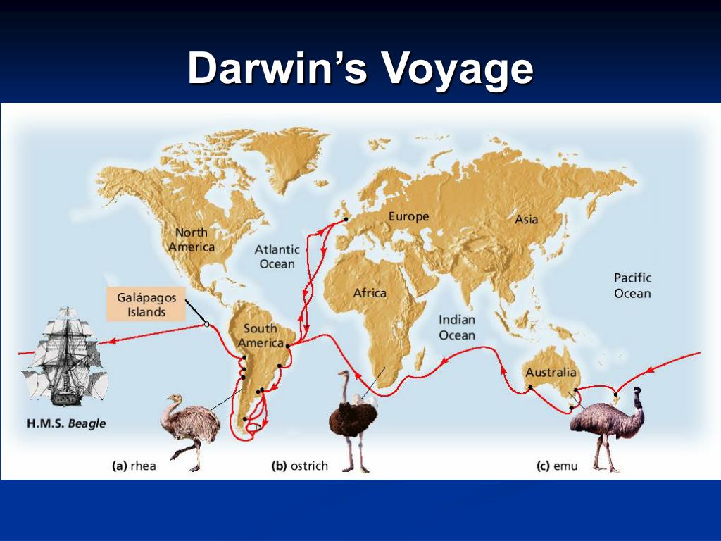 darwin's voyage to the galapagos