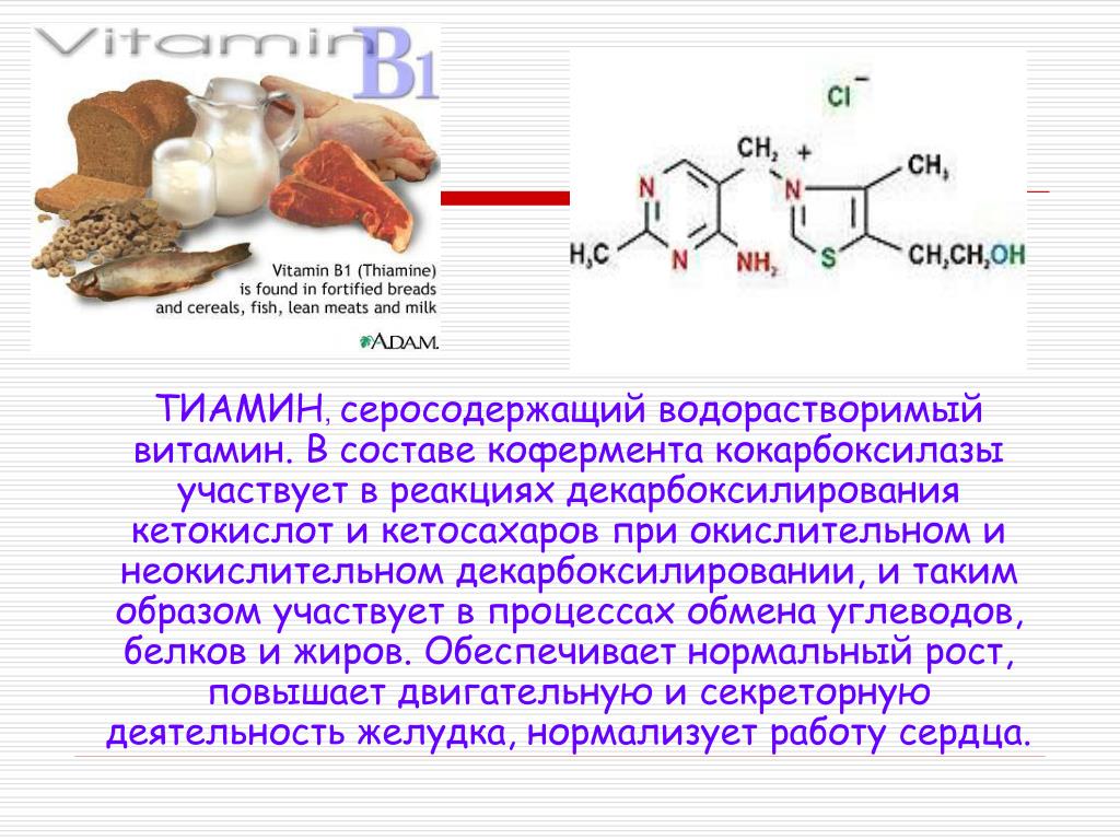 Обмен витаминов биохимия. Кофермент тиамина витамина в1. Витамин б1 кофермент. В1 витамин кофермент биохимия. Витамин в1 кофермент витамина.