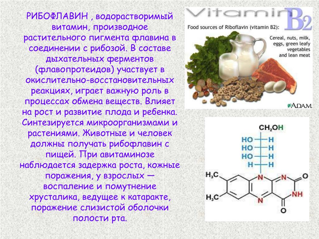 Какого витамина больше в луке. Формула рибофлавина витамина в2. Рибофлавин рибофлавин-мононуклеотид.