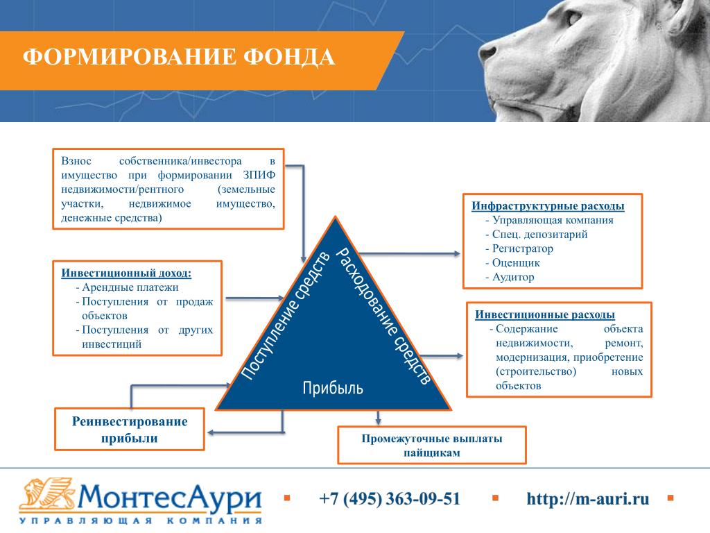 Формирование фонда. Создание фондов. Формирование имущества фонда. Как создаются фонды.