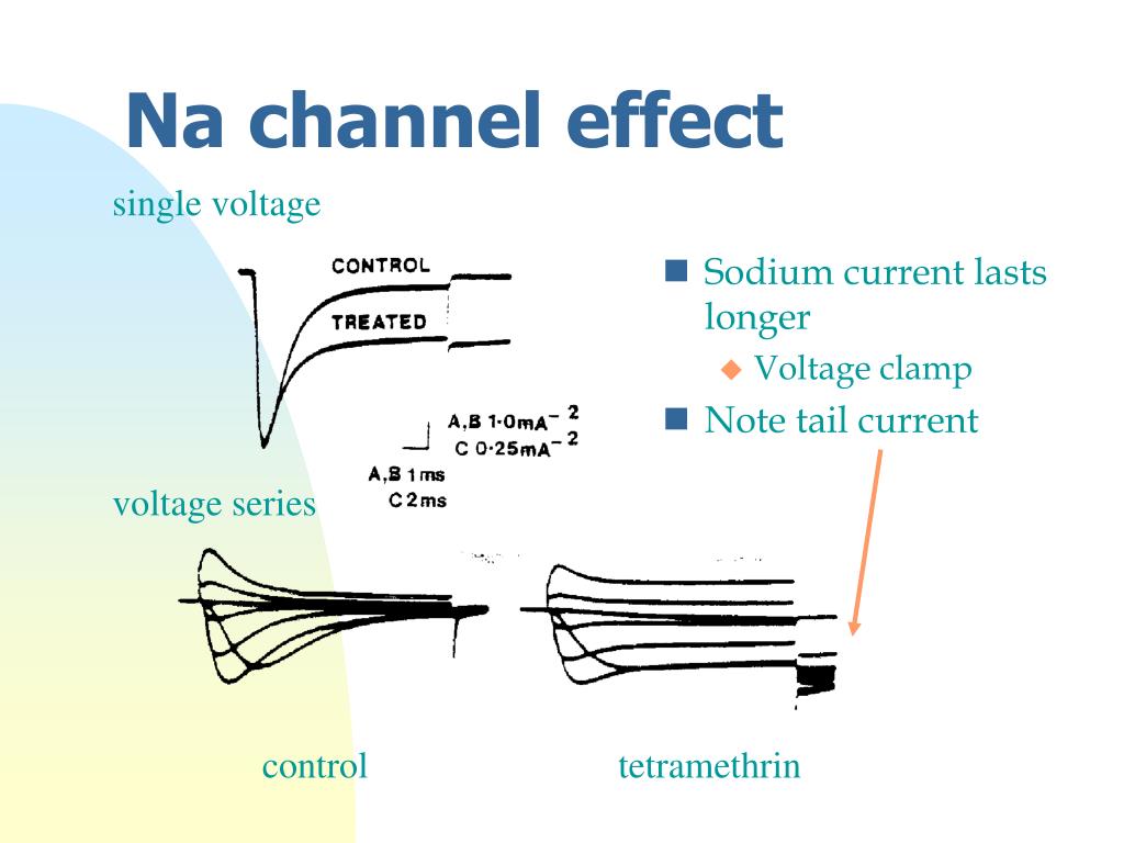 Channel effects