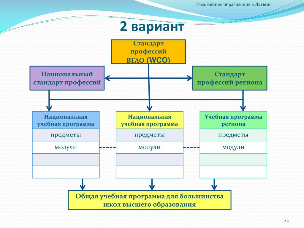 Варианты стандарта. Система образования в Латвии схема. Таможенное образование. Модули в учебных планах высшего образования. Таможня образование.