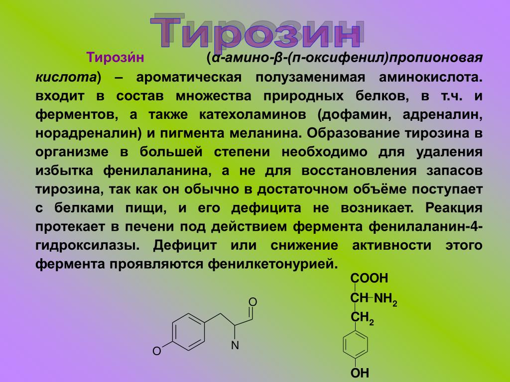 Тирозин что это такое. Триптофан и тирозин формула. Триптофан роль в организме. Триптофан аминокислота. Триптофан аммно кислота.