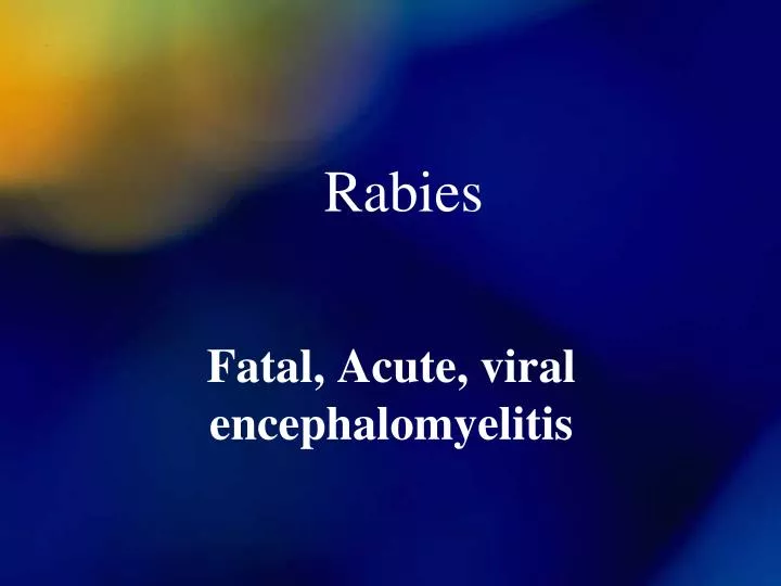 PPT - Rabies PowerPoint Presentation, free download - ID:6564616